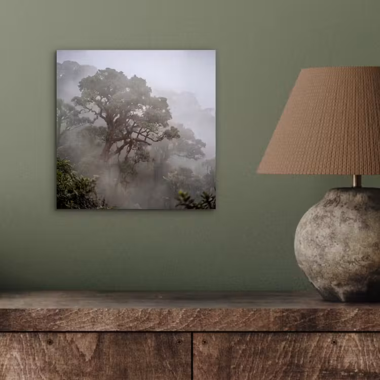Boom - Mistig - Bos - Groen - Natuur aluminium wit klein -sfeer2
