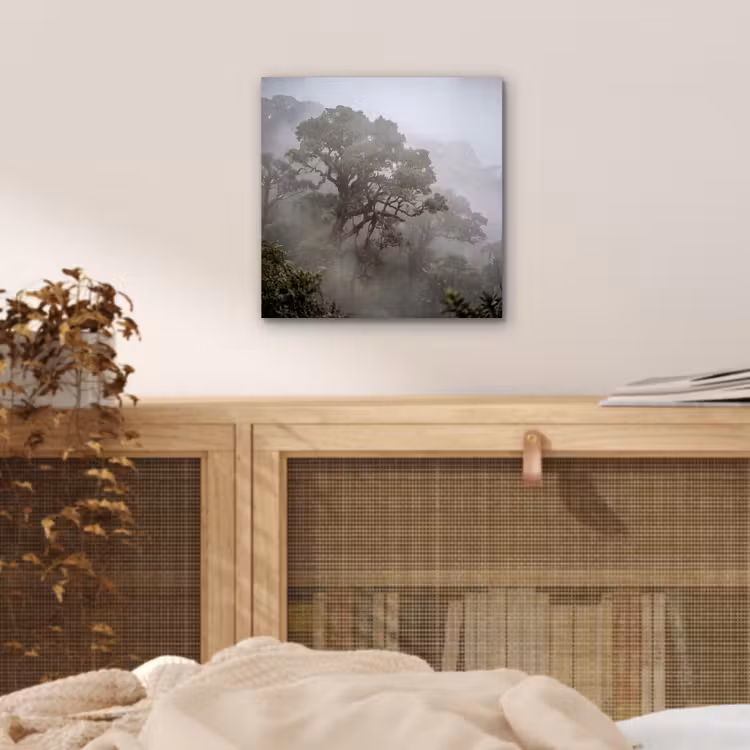 Boom - Mistig - Bos - Groen - Natuur aluminium wit klein -sfeer3