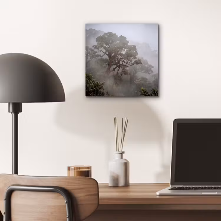 Boom - Mistig - Bos - Groen - Natuur aluminium wit klein -sfeer5