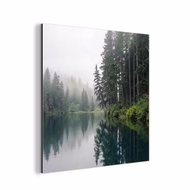 Bergen - Meer - Bos aluminium wit klein -3d