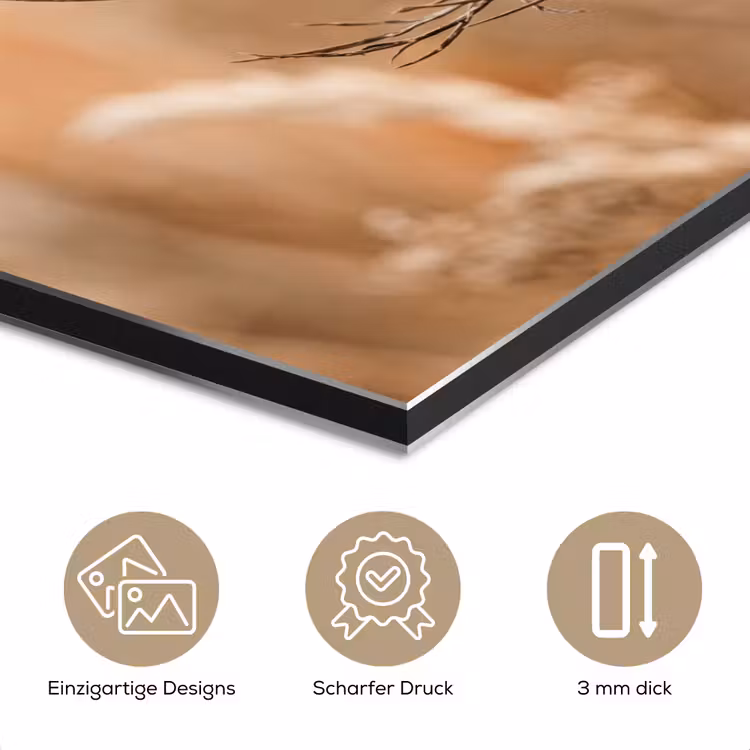Schermbloem - Droogbloem - Winter - Beige - Minimalistisch aluminium wit klein -closeup_DE