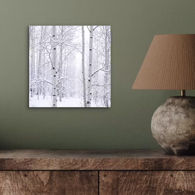 Berkenbomen - Sneeuw - Winter - Bos - Wit aluminium wit klein -sfeer2