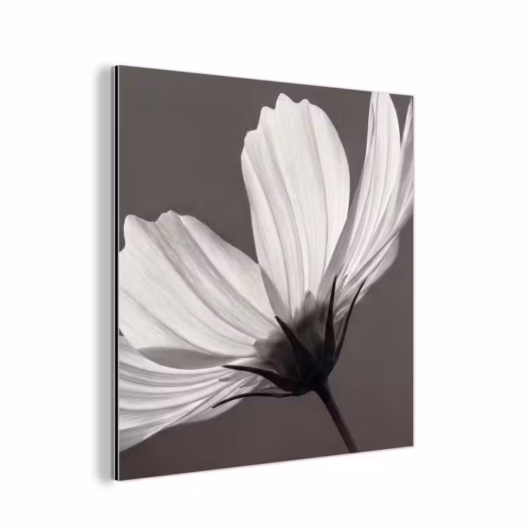 Bloem - Minimalistisch - Zwart - Wit aluminium wit klein -3d