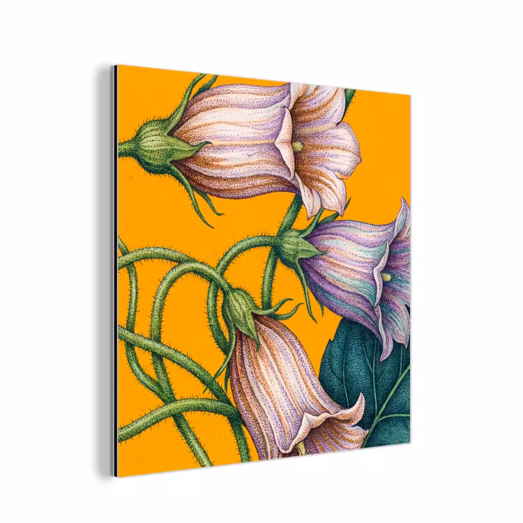 Alu-Dibond-Bild - Blumen – Botanik – Gelb - Bloemen - Botanisch - Geel aluminium wit klein