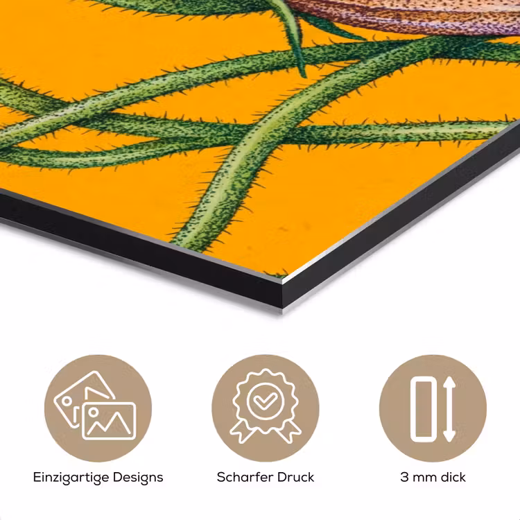Alu-Dibond-Bild - Blumen – Botanik – Gelb - Bloemen - Botanisch - Geel aluminium wit klein