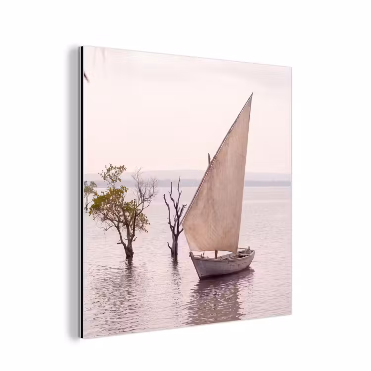 Boot - Zeil - Water - Tropisch - Natuur aluminium wit klein -3d
