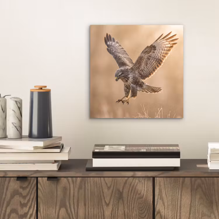 Buizerd - Roofvogel - Natuur - Bruin aluminium wit klein -sfeer1