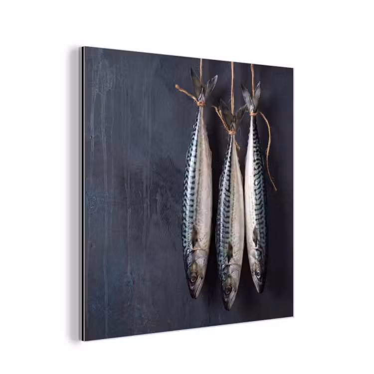 Alu-Dibond-Bild - Drei Fische – Seil - Drie vissen - Touw aluminium wit klein