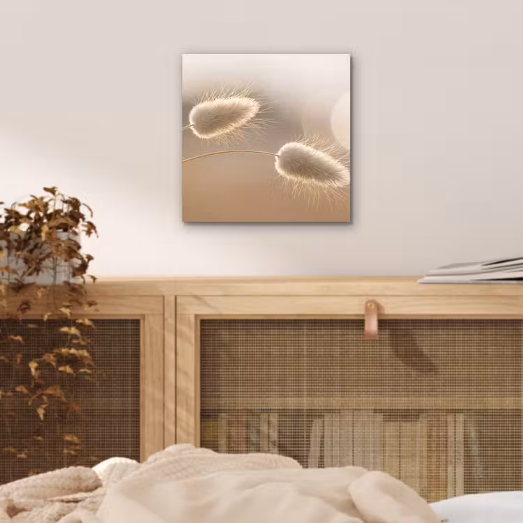 Hazestaartgras - Graanharen - Zonlicht aluminium wit klein -sfeer3