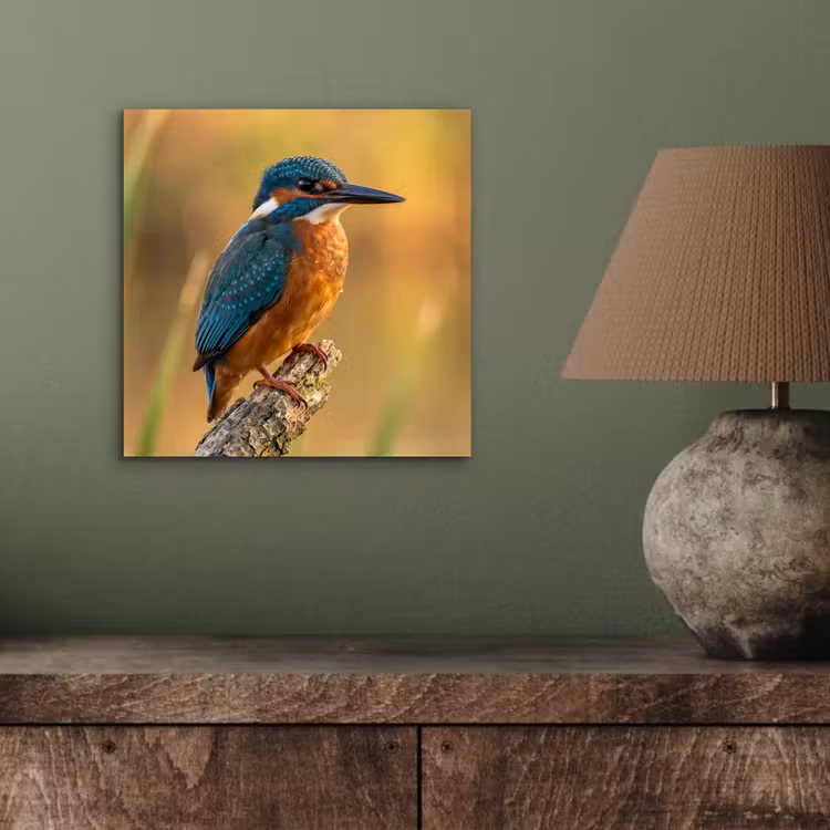 IJsvogel - Tak - Water - Kleurrijk - Levendig aluminium wit klein -sfeer2