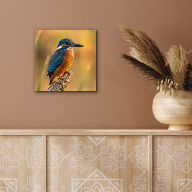 IJsvogel - Tak - Water - Kleurrijk - Levendig aluminium wit klein -sfeer4