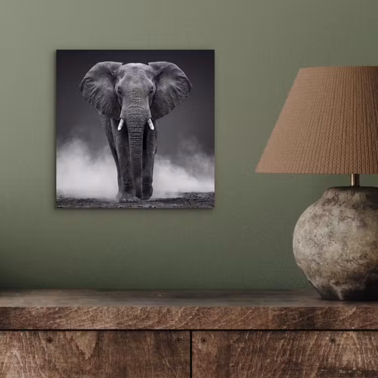Olifant - Zwart - Wit - Rook aluminium wit klein -sfeer2