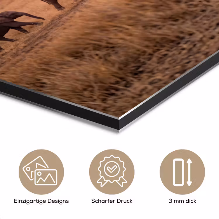 Olifanten - Savanne - Zonsondergang - Afrika - Warm aluminium wit klein -closeup_DE