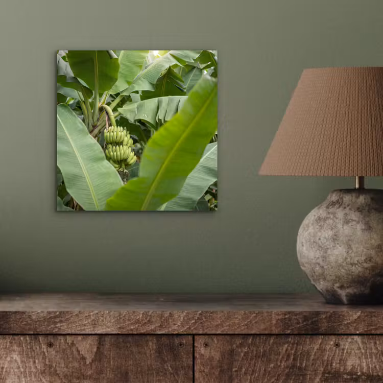 Eten - Bananen - Plantage - Groen aluminium wit klein -sfeer2