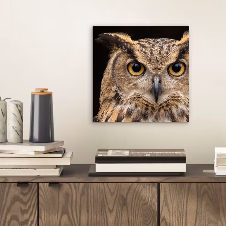 Oehoe - Uil - Portret - Bruin aluminium wit klein -sfeer1