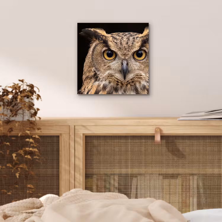 Oehoe - Uil - Portret - Bruin aluminium wit klein -sfeer3