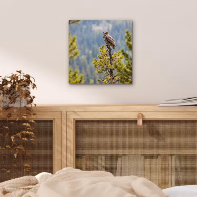 Uil - Oehoe - Bomen - Natuur aluminium wit klein -sfeer3
