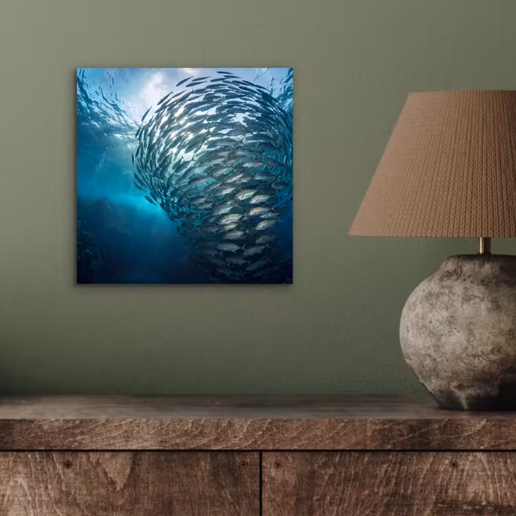 Vis - School - Oceaan - Natuur - Blauw aluminium wit klein -sfeer2