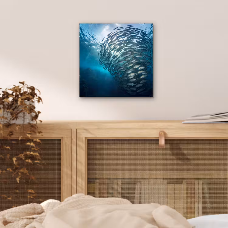 Vis - School - Oceaan - Natuur - Blauw aluminium wit klein -sfeer3
