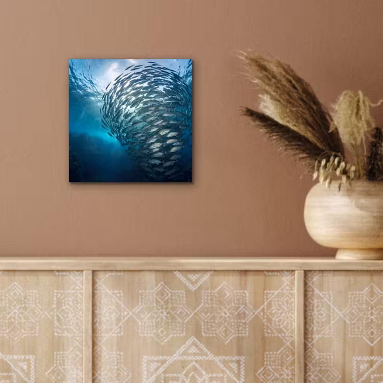 Vis - School - Oceaan - Natuur - Blauw aluminium wit klein -sfeer4