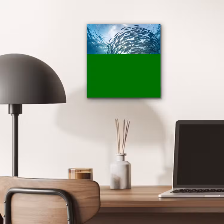 Vis - School - Oceaan - Natuur - Blauw aluminium wit klein -sfeer5