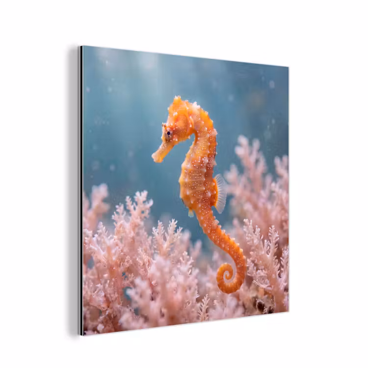 Vis - Koraal - Oceaan - Macro - Oranje aluminium wit klein -3d
