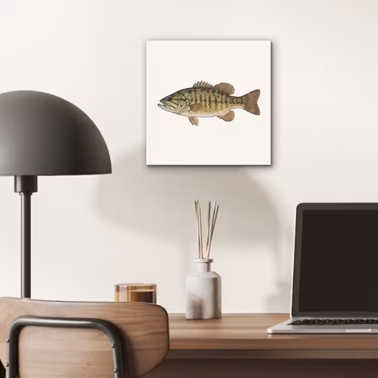 Vissen - Natuur - Vintage aluminium wit klein -sfeer5