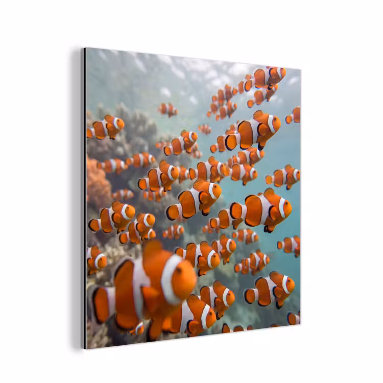 Vis - School - Onderwater - Dieren - Oranje aluminium wit klein -3d