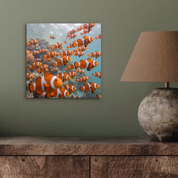Vis - School - Onderwater - Dieren - Oranje aluminium wit klein -sfeer2