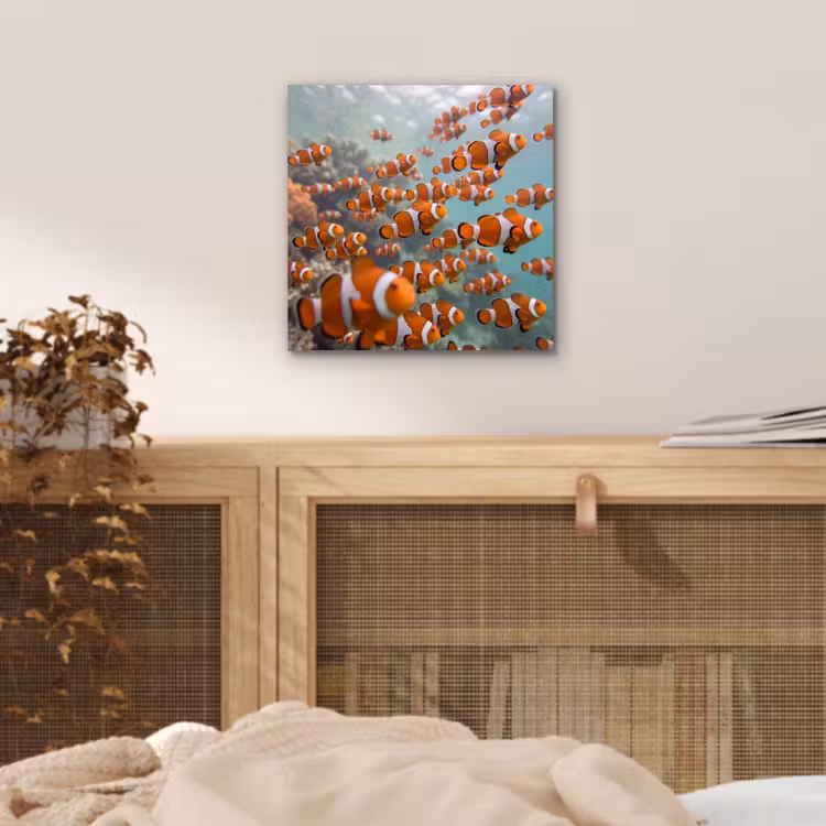 Vis - School - Onderwater - Dieren - Oranje aluminium wit klein -sfeer3