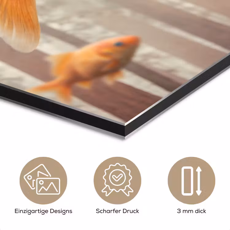 Alu-Dibond-Bild - Fisch – Wald – Fantasie - Vis - Bos - Fantasie aluminium wit klein