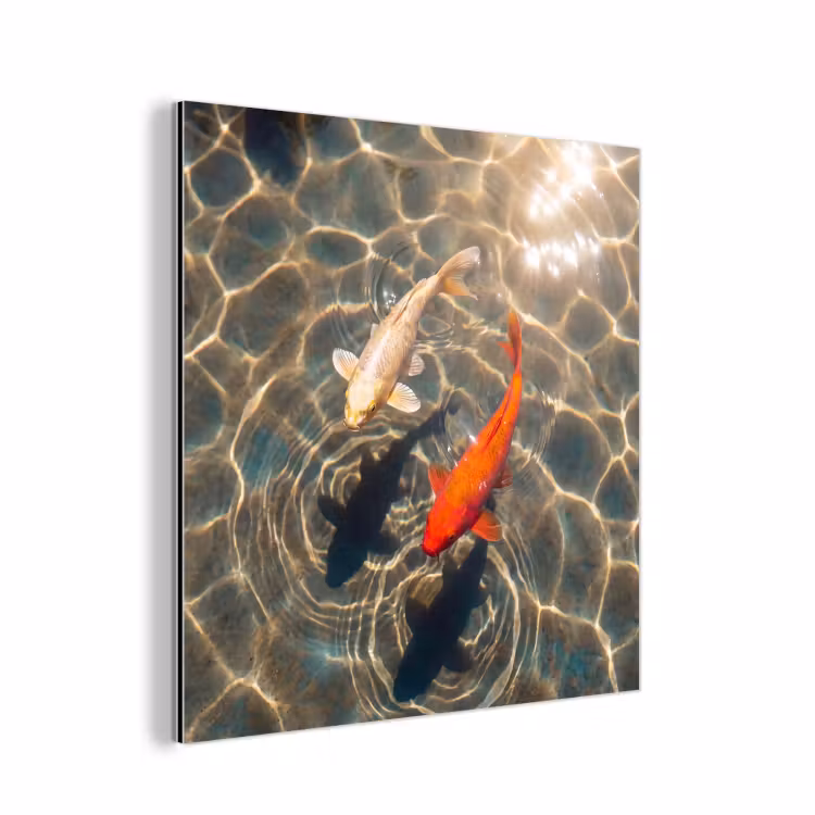 Vis - Water - Dieren - Oranje - Goud aluminium wit klein -3d