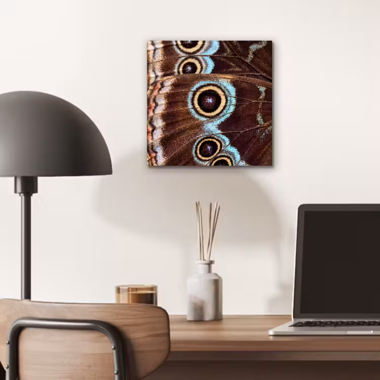 Vleugels - Vlinder - Blauw aluminium wit klein -sfeer5