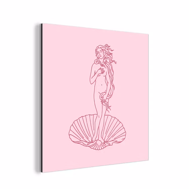 Vrouw - Schelp - Kunst - Lijntekening - Roze aluminium wit klein -3d