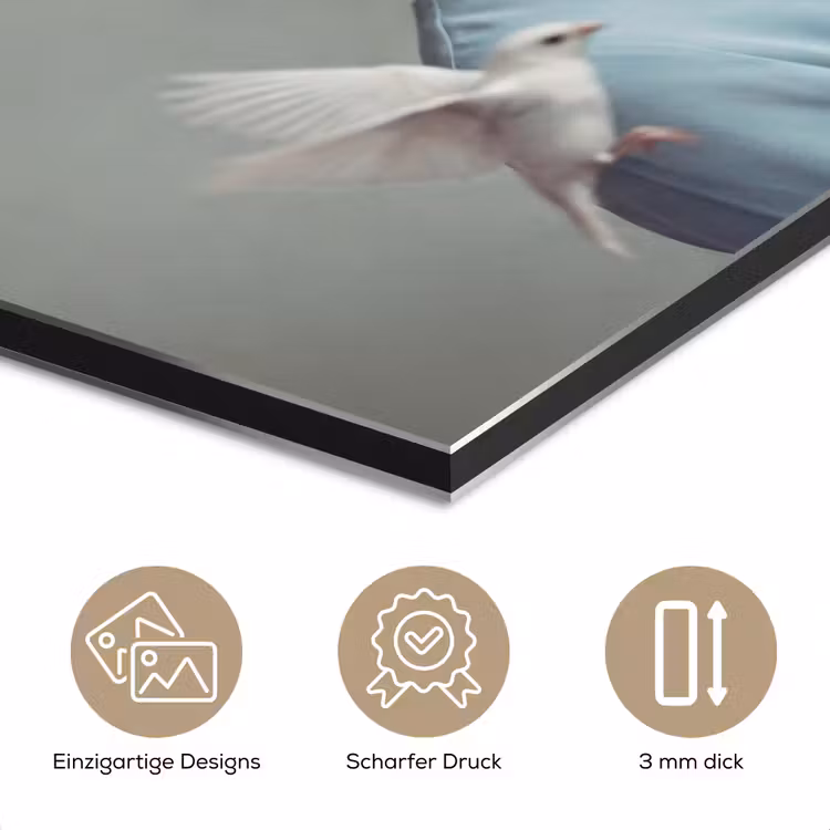 Vrouw - Vogels - Abstract - Modern - Wit aluminium wit klein -closeup_DE