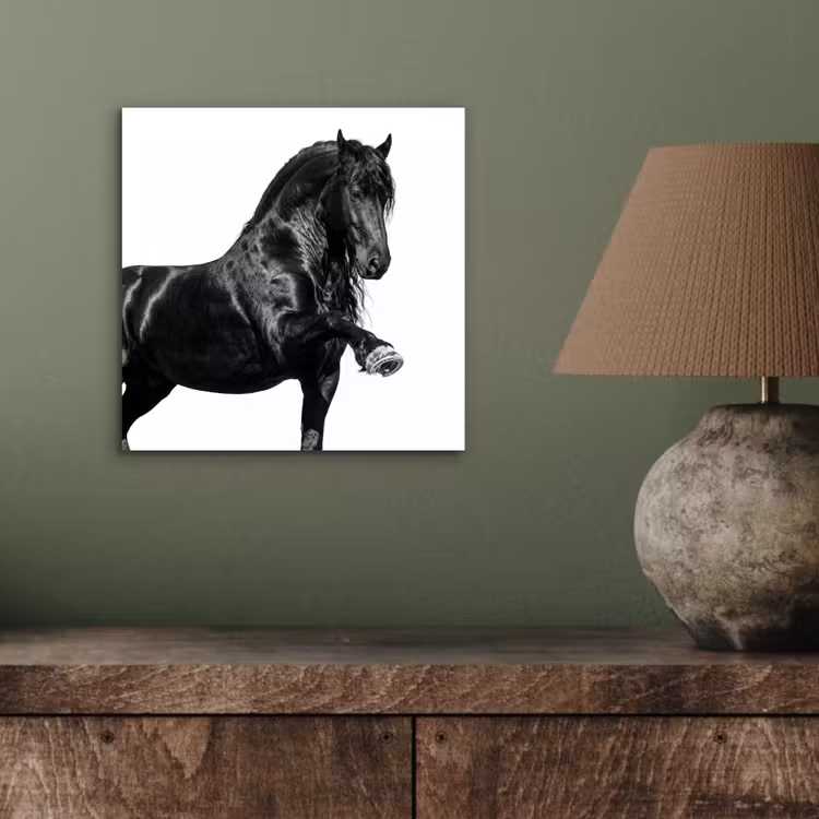 Fries - Hengst - Modern aluminium wit klein -sfeer2