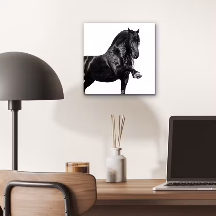 Fries - Hengst - Modern aluminium wit klein -sfeer5