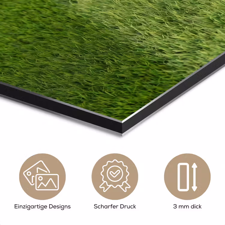 Voetbal - Grasveld - Sport - Groen aluminium wit klein -closeup_DE
