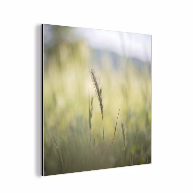 Graan - Aar - Natuur - Groen - Detail aluminium wit klein -3d