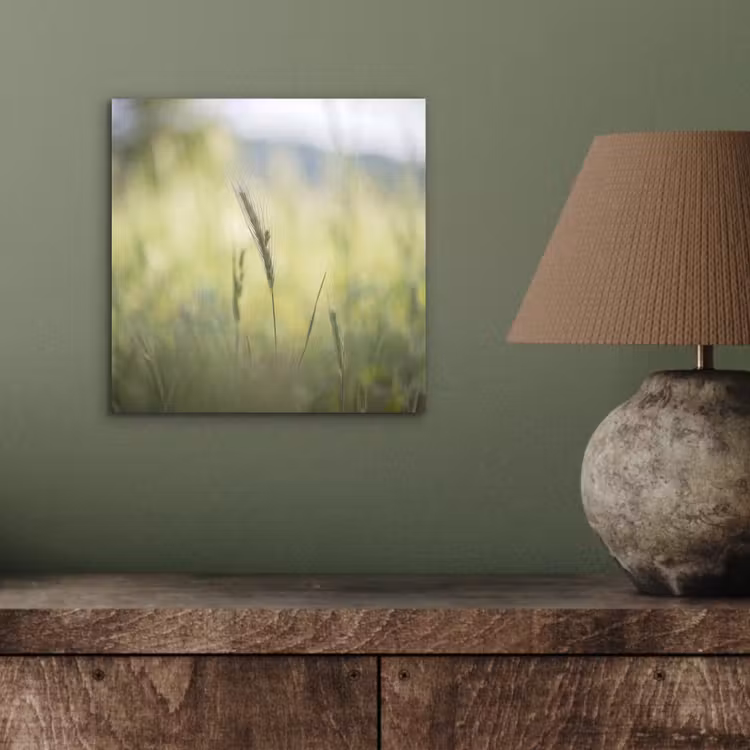 Graan - Aar - Natuur - Groen - Detail aluminium wit klein -sfeer2