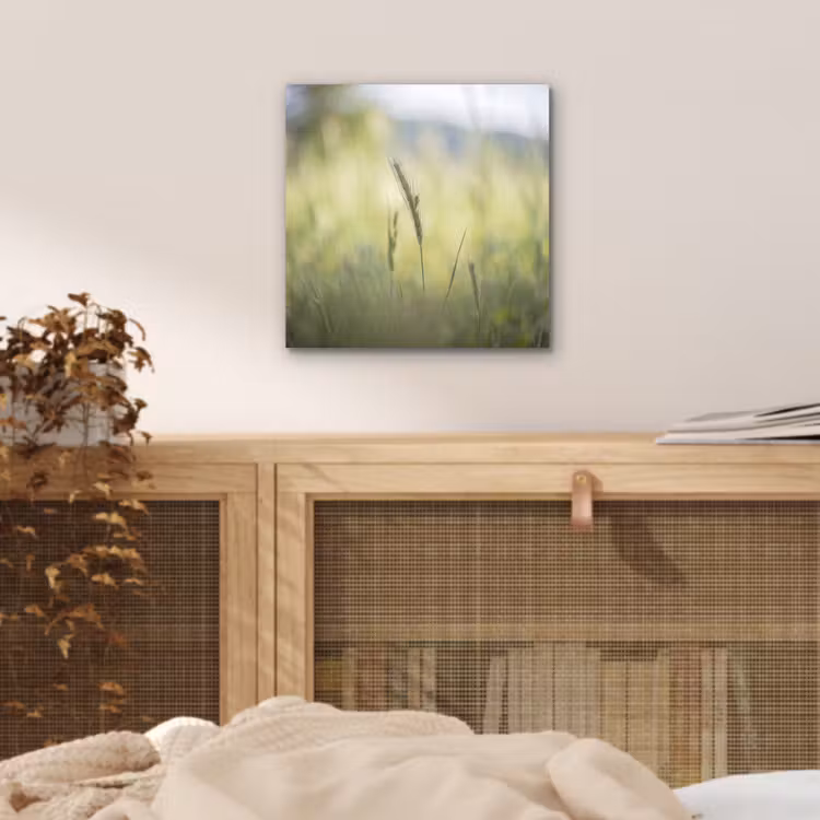 Graan - Aar - Natuur - Groen - Detail aluminium wit klein -sfeer3