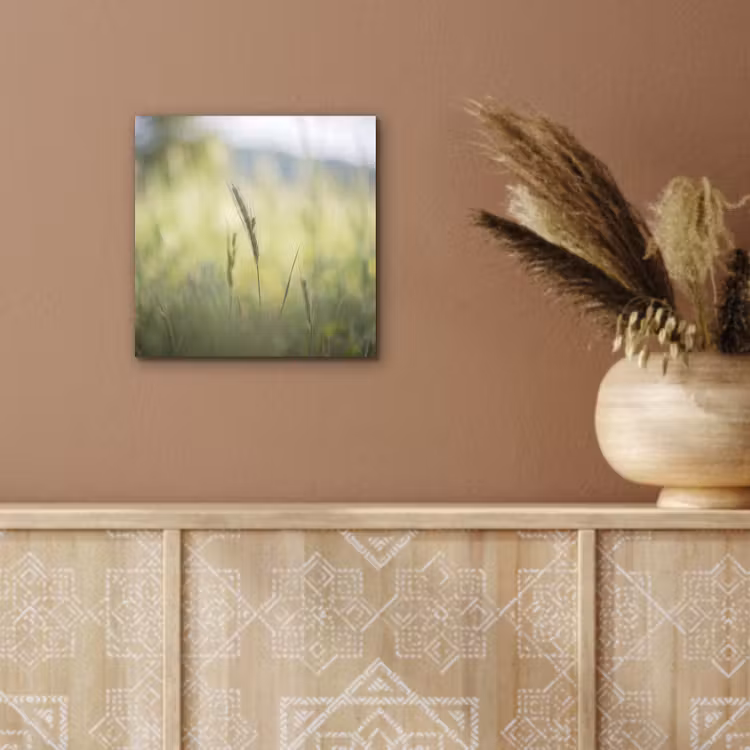 Graan - Aar - Natuur - Groen - Detail aluminium wit klein -sfeer4