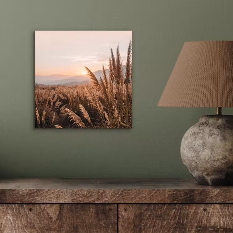 Gras - Veld - Zon - Natuur aluminium wit klein -sfeer2