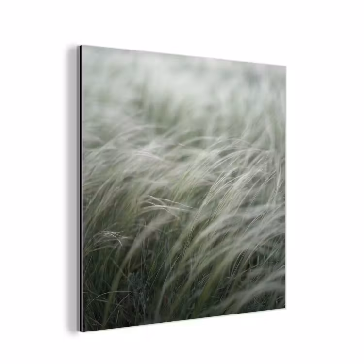 Gras - Wazig - Natuur - Groen - Zacht aluminium wit klein -3d