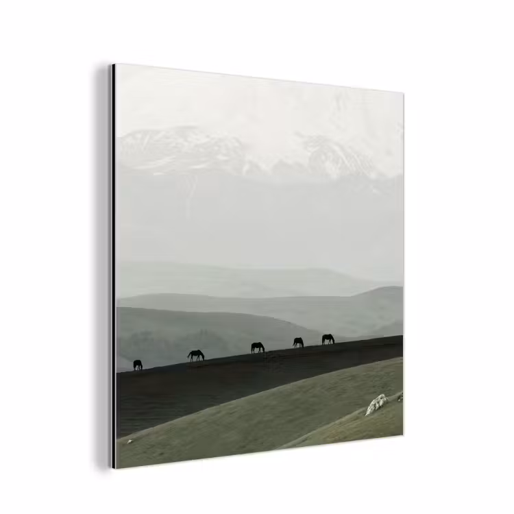 Grijs - Berg - Paarden aluminium wit klein -3d