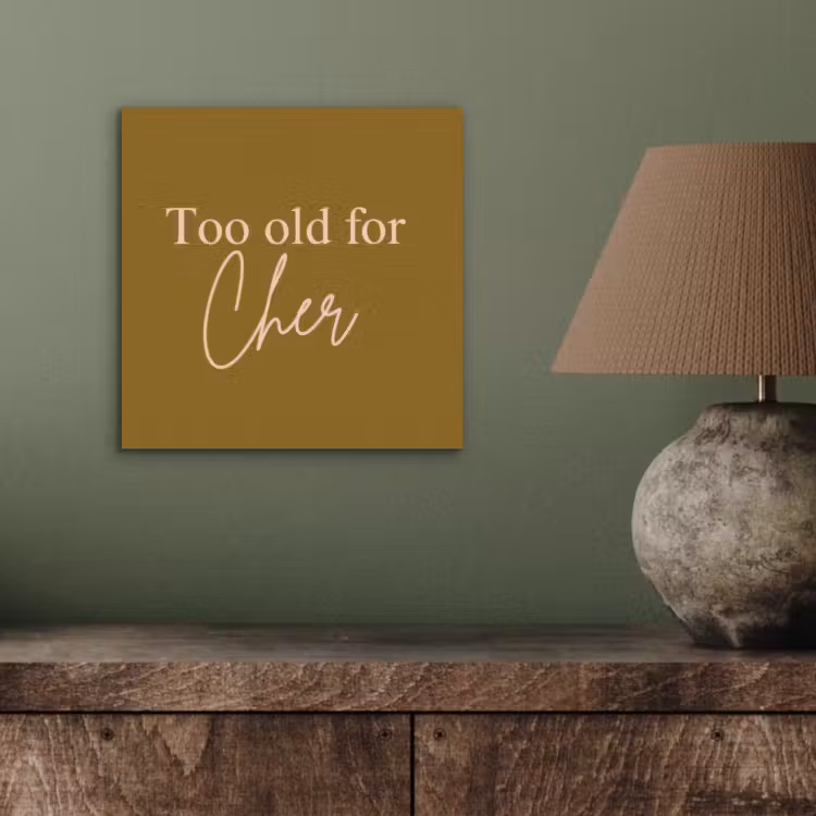 Groen - Too old for cher - Roze aluminium wit klein -sfeer2