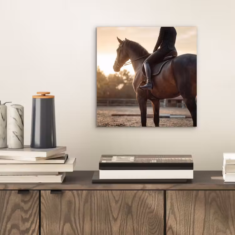 Harmonie - Ruiter - Zon aluminium wit klein -sfeer1