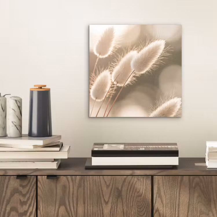 Hazestaartgras - Wit - Zonlicht aluminium wit klein -sfeer1