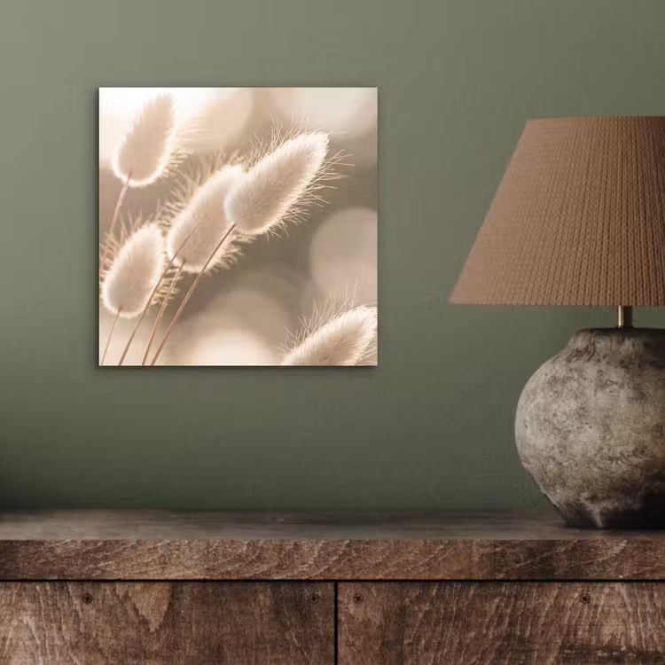 Hazestaartgras - Wit - Zonlicht aluminium wit klein -sfeer2