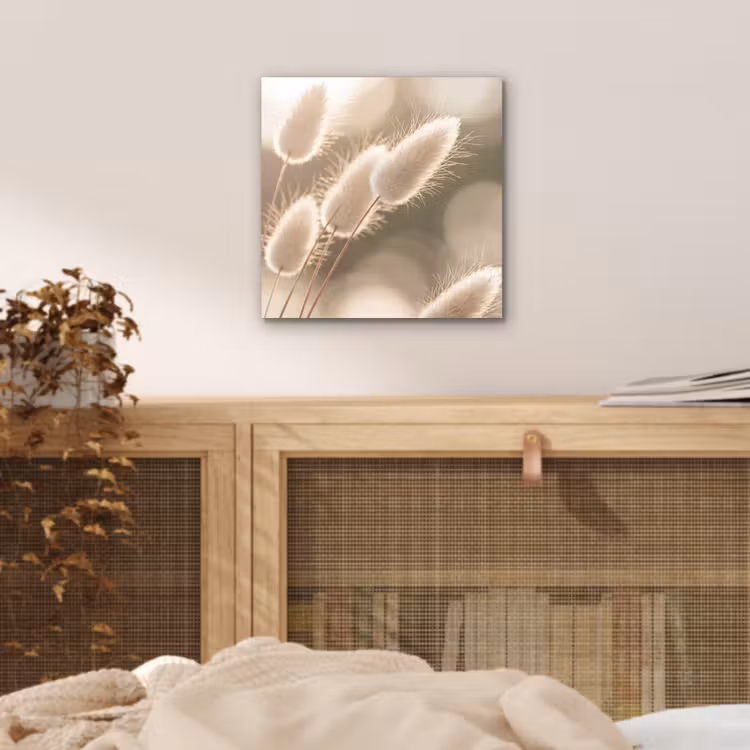 Hazestaartgras - Wit - Zonlicht aluminium wit klein -sfeer3